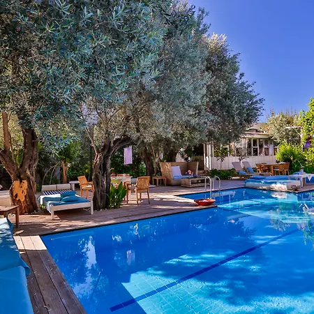 Oyster Residences - Adult Only Hotel Oludeniz