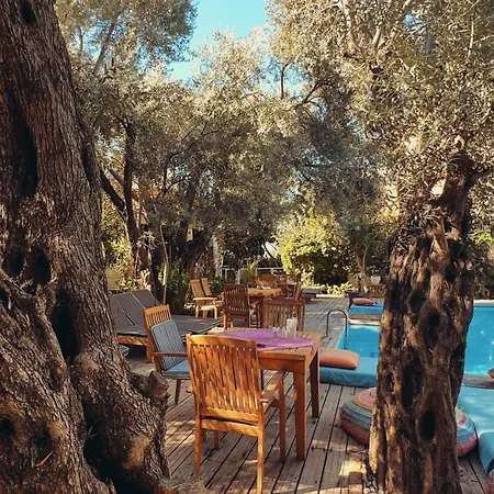 Oyster Residences - Adult Only Hotel Oludeniz